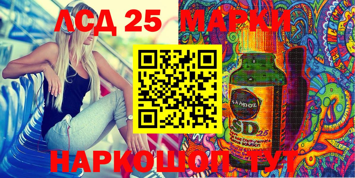 Псилоцибиновые грибы Волжск