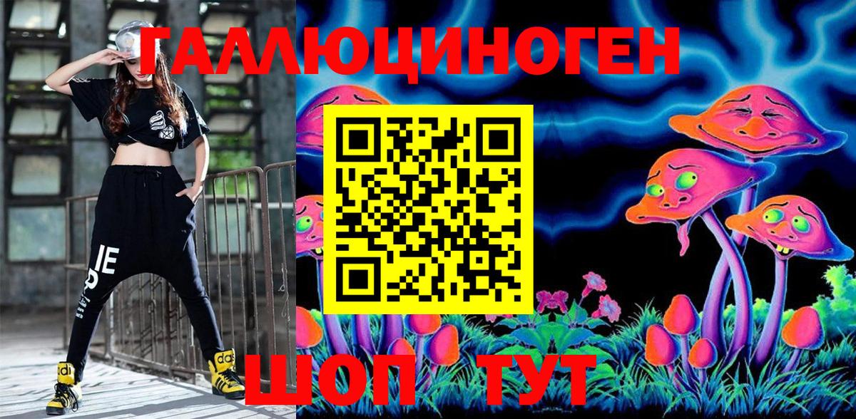 Псилоцибиновые грибы Psilocybine cubensis Волжск
